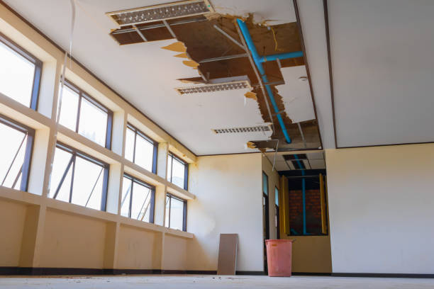 Best Water damage restoration services  in Tacoma, WA