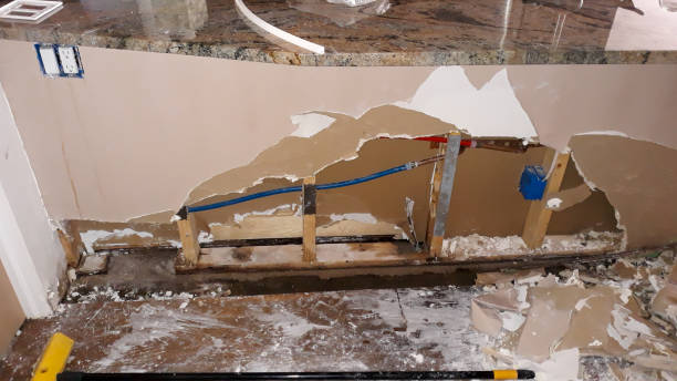Best Water damage restoration experts  in Tacoma, WA